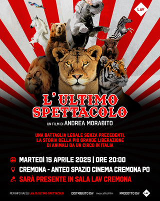 L'ULTIMO SPETTACOLO di Andrea Morabito | Introduzione a cura di Lav Cremona