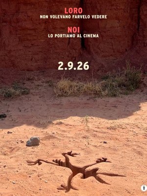 Coyote vs acme