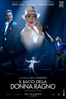 Il bacio della donna ragno 