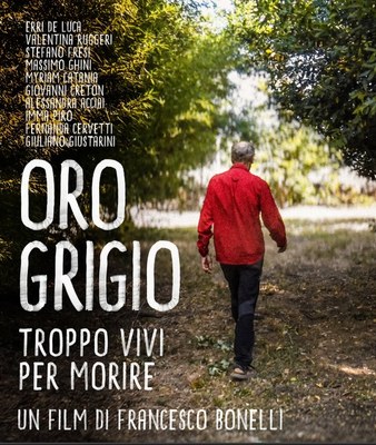 Oro grigio