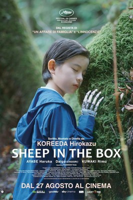 Sheep in the box